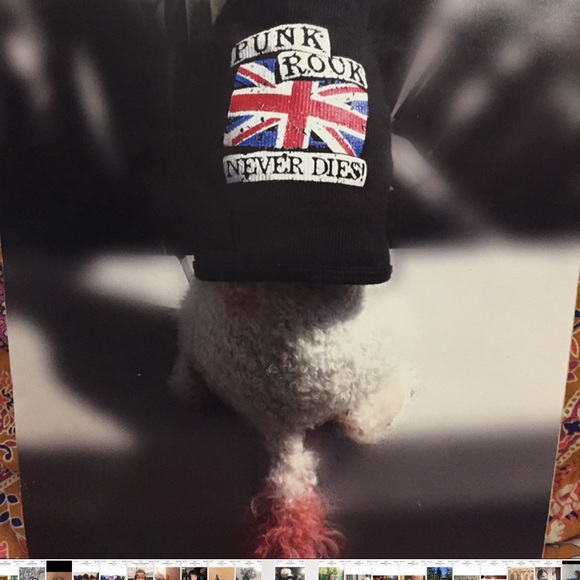 Punk Rock doggie tank - Picture 4 of 4